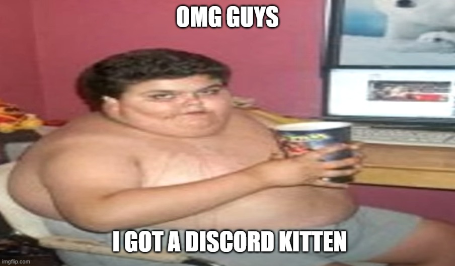OMG GUYS |  OMG GUYS; I GOT A DISCORD KITTEN | image tagged in jokes,joke,discord moderator,discord,memes,fat kid | made w/ Imgflip meme maker