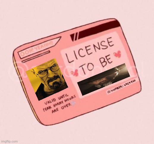 License to be horny | image tagged in license to be horny | made w/ Imgflip meme maker