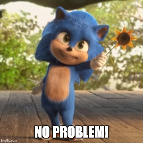 baby sonic | NO PROBLEM! | image tagged in baby sonic | made w/ Imgflip meme maker