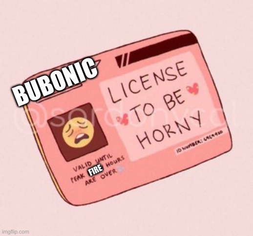 License to be horny | BUBONIC; FIRE | image tagged in license to be horny | made w/ Imgflip meme maker