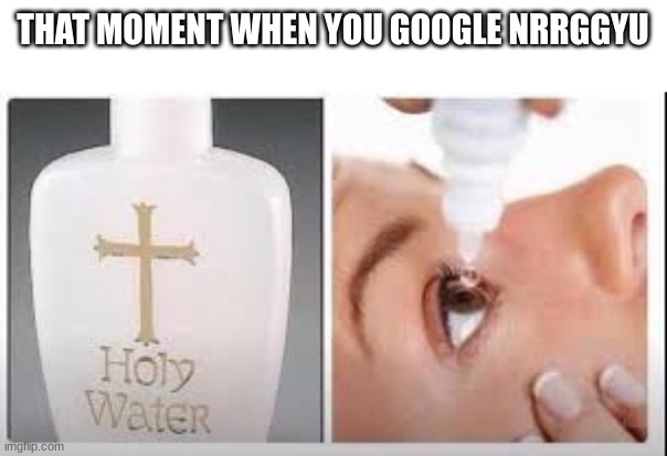 bro peoples imaginations when coming up with this stuff | THAT MOMENT WHEN YOU GOOGLE NRRGGYU | image tagged in holy water,pass the unsee juice my bro | made w/ Imgflip meme maker