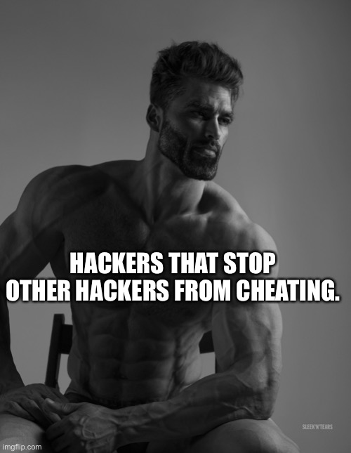 Giga Chad | HACKERS THAT STOP OTHER HACKERS FROM CHEATING. | image tagged in giga chad | made w/ Imgflip meme maker