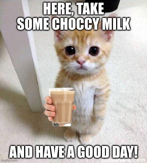 Cute Cat | HERE, TAKE SOME CHOCCY MILK; AND HAVE A GOOD DAY! | image tagged in memes,cute cat,fun | made w/ Imgflip meme maker