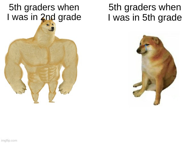 bro everyone was so weird when I was in 5th grade dude | 5th graders when I was in 2nd grade; 5th graders when I was in 5th grade | image tagged in memes,buff doge vs cheems | made w/ Imgflip meme maker