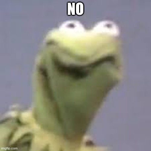 kermit is not happy | NO | image tagged in kermit is not happy | made w/ Imgflip meme maker