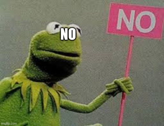 kermit says no | NO | image tagged in kermit says no | made w/ Imgflip meme maker