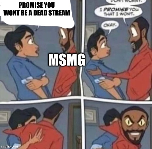 promise me you wont blank | PROMISE YOU WONT BE A DEAD STREAM; MSMG | image tagged in promise me you wont blank | made w/ Imgflip meme maker