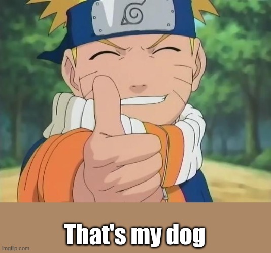 naruto thumbs up | That's my dog | image tagged in naruto thumbs up | made w/ Imgflip meme maker
