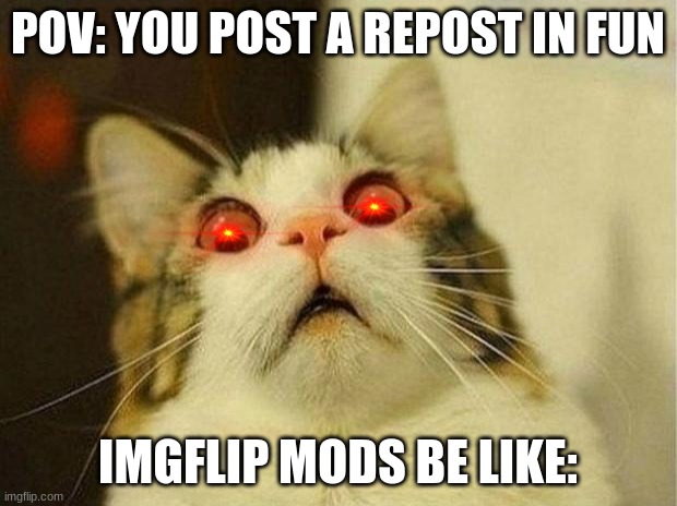 Pov = what i want to do everyday | POV: YOU POST A REPOST IN FUN; IMGFLIP MODS BE LIKE: | image tagged in memes,scared cat | made w/ Imgflip meme maker