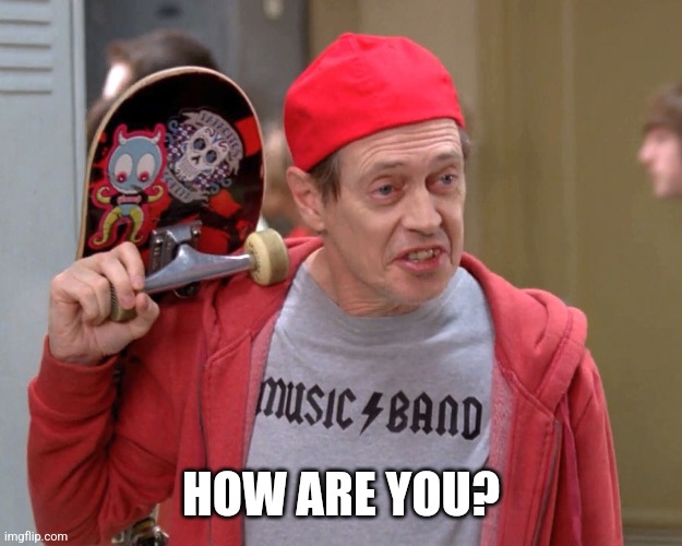 Steve Buscemi Fellow Kids | HOW ARE YOU? | image tagged in steve buscemi fellow kids | made w/ Imgflip meme maker