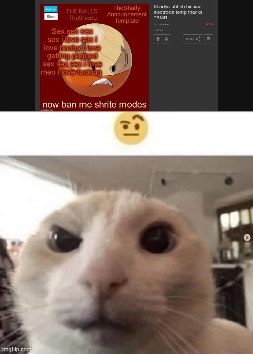 image tagged in raised eyebrow cat | made w/ Imgflip meme maker