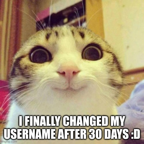 I like my new username, and ill name my yt, and my pinterest that :3 | I FINALLY CHANGED MY USERNAME AFTER 30 DAYS :D | image tagged in memes,smiling cat | made w/ Imgflip meme maker