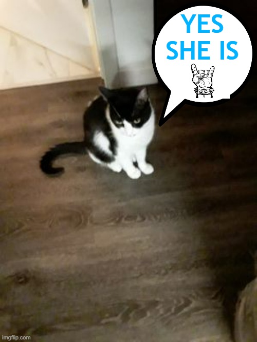 YES SHE IS | made w/ Imgflip meme maker