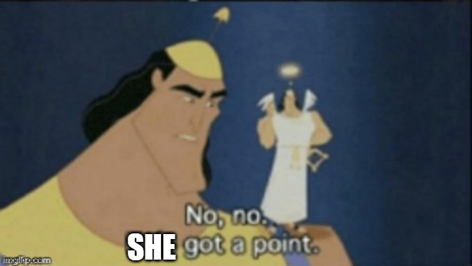 no no hes got a point | SHE | image tagged in no no hes got a point | made w/ Imgflip meme maker