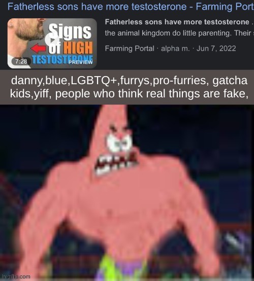 Fatherless sons have more testosterone | danny,blue,LGBTQ+,furrys,pro-furries, gatcha kids,yiff, people who think real things are fake, | image tagged in fatherless sons have more testosterone | made w/ Imgflip meme maker