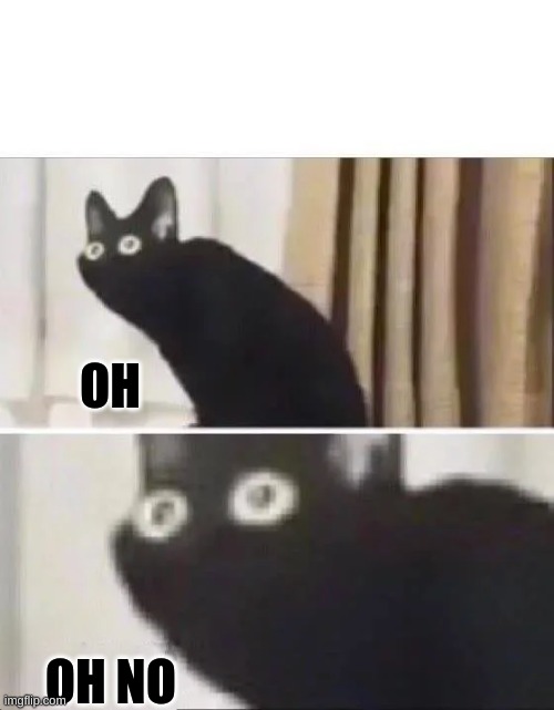 Oh No Black Cat | OH OH NO | image tagged in oh no black cat | made w/ Imgflip meme maker