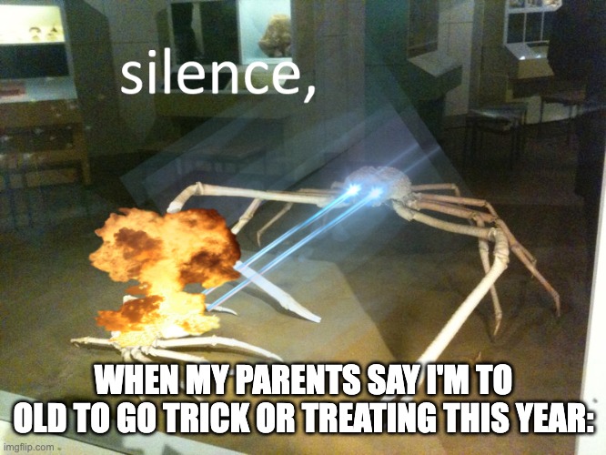 bro shut up | WHEN MY PARENTS SAY I'M TO OLD TO GO TRICK OR TREATING THIS YEAR: | image tagged in silence | made w/ Imgflip meme maker
