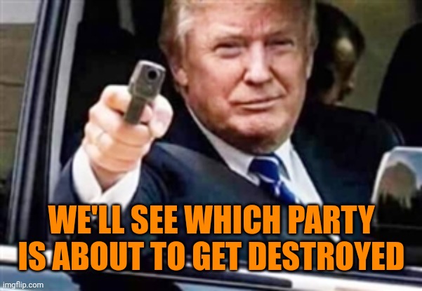 trump gun | WE'LL SEE WHICH PARTY IS ABOUT TO GET DESTROYED | image tagged in trump gun | made w/ Imgflip meme maker