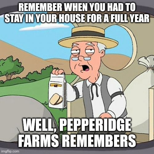 Pepperidge Farm Remembers | REMEMBER WHEN YOU HAD TO STAY IN YOUR HOUSE FOR A FULL YEAR; WELL, PEPPERIDGE FARMS REMEMBERS | image tagged in memes,pepperidge farm remembers | made w/ Imgflip meme maker