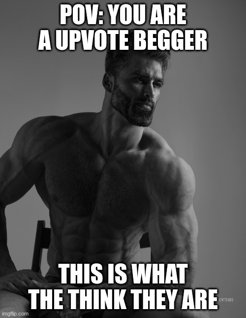 Giga Chad | POV: YOU ARE A UPVOTE BEGGER; THIS IS WHAT THE THINK THEY ARE | image tagged in giga chad | made w/ Imgflip meme maker