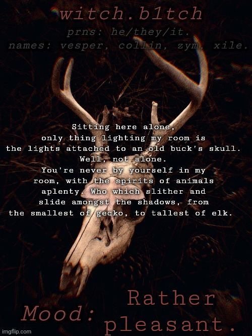 Just some witch scribblings, carry on. | Sitting here alone, only thing lighting my room is the lights attached to an old buck's skull.
Well, not alone.
You're never by yourself in my room, with the spirits of animals aplenty. Who which slither and slide amongst the shadows, from the smallest of gecko, to tallest of elk. Rather pleasant. | image tagged in vespy's corvidcore temp | made w/ Imgflip meme maker