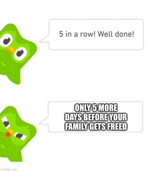 Duo |  ONLY 5 MORE DAYS BEFORE YOUR FAMILY GETS FREED | image tagged in duolingo 5 in a row | made w/ Imgflip meme maker