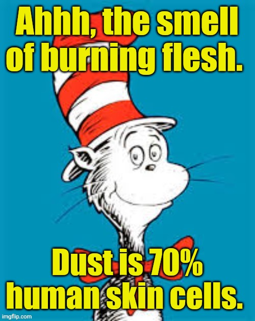 obiden - Shat in the Hat | Ahhh, the smell of burning flesh. Dust is 70% human skin cells. | image tagged in obiden - shat in the hat | made w/ Imgflip meme maker