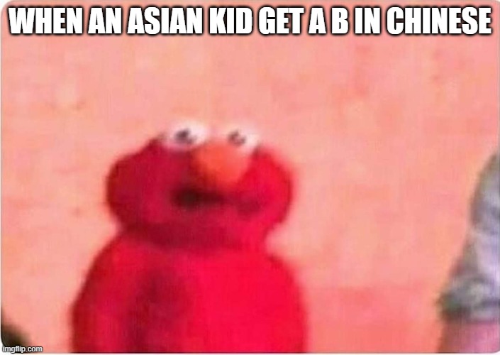 Sickened elmo | WHEN AN ASIAN KID GET A B IN CHINESE | image tagged in sickened elmo,asian kid,chinese class | made w/ Imgflip meme maker