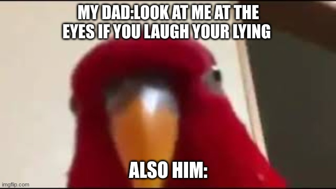 ur dad be like | MY DAD:LOOK AT ME AT THE EYES IF YOU LAUGH YOUR LYING; ALSO HIM: | image tagged in red birb gumi staring | made w/ Imgflip meme maker