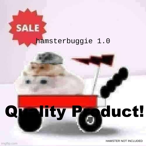 10/10 great product. |  hamsterbuggie 1.0; Quality Product! HAMSTER NOT INCLUDED | image tagged in hamster,car,a random meme | made w/ Imgflip meme maker