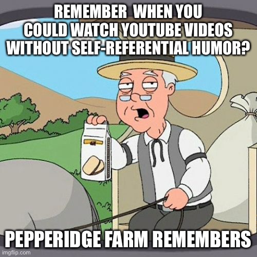 You know it’s true | REMEMBER  WHEN YOU COULD WATCH YOUTUBE VIDEOS WITHOUT SELF-REFERENTIAL HUMOR? PEPPERIDGE FARM REMEMBERS | image tagged in memes,pepperidge farm remembers | made w/ Imgflip meme maker