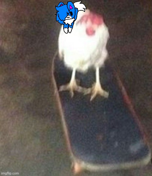 I did it! | image tagged in dog on skateboard | made w/ Imgflip meme maker
