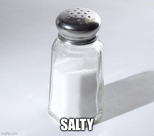 salt shaker | SALTY | image tagged in salt shaker | made w/ Imgflip meme maker