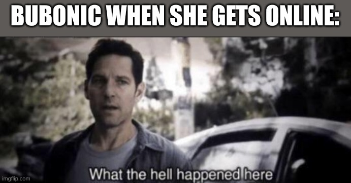 What the hell happened here | BUBONIC WHEN SHE GETS ONLINE: | image tagged in what the hell happened here | made w/ Imgflip meme maker