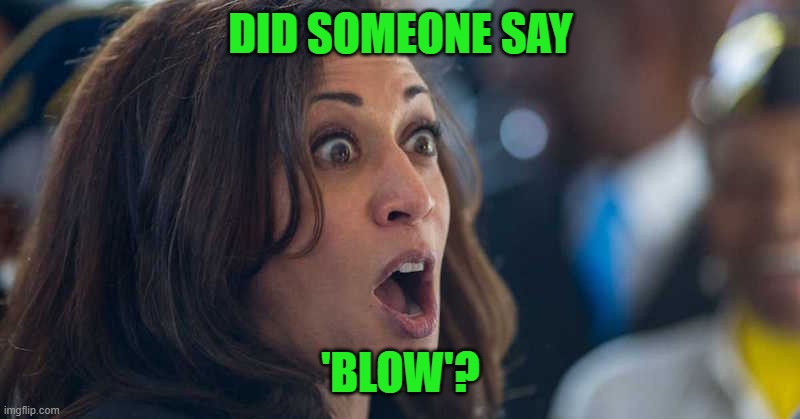 kamala harriss | DID SOMEONE SAY 'BLOW'? | image tagged in kamala harriss | made w/ Imgflip meme maker