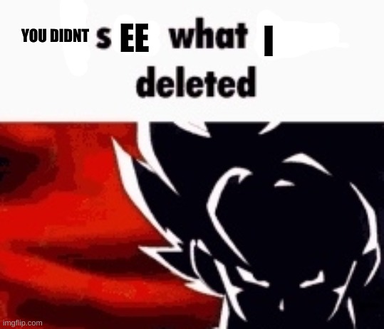 i saw what you deleted | YOU DIDNT EE I | image tagged in i saw what you deleted | made w/ Imgflip meme maker