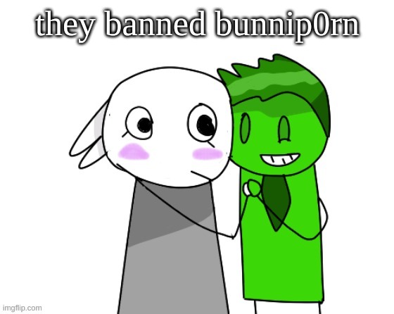 like the word | they banned bunnip0rn | image tagged in memes,funny,bunni x ryokucha,bunnip0rn,ban,word | made w/ Imgflip meme maker