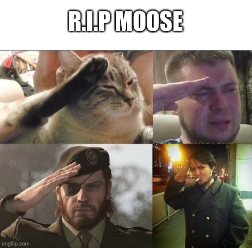 Ozon's Salute | R.I.P MOOSE | image tagged in ozon's salute | made w/ Imgflip meme maker