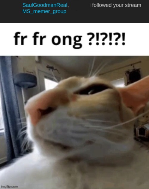 image tagged in fr fr ong | made w/ Imgflip meme maker