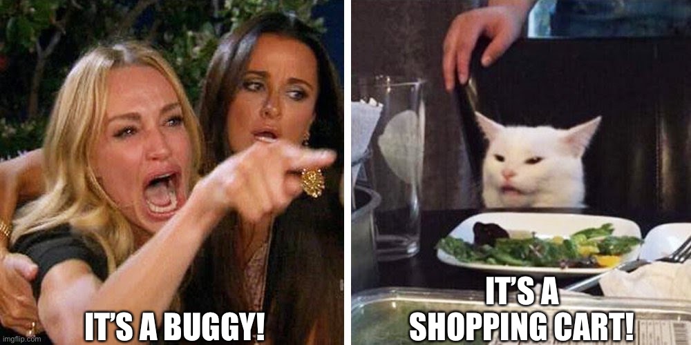 Smudge the cat | IT’S A BUGGY! IT’S A SHOPPING CART! | image tagged in smudge the cat | made w/ Imgflip meme maker