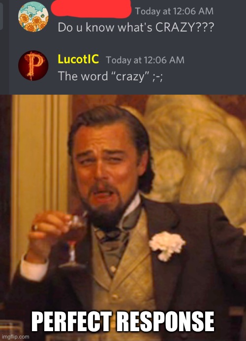 Discord conversations | PERFECT RESPONSE | image tagged in memes,laughing leo | made w/ Imgflip meme maker