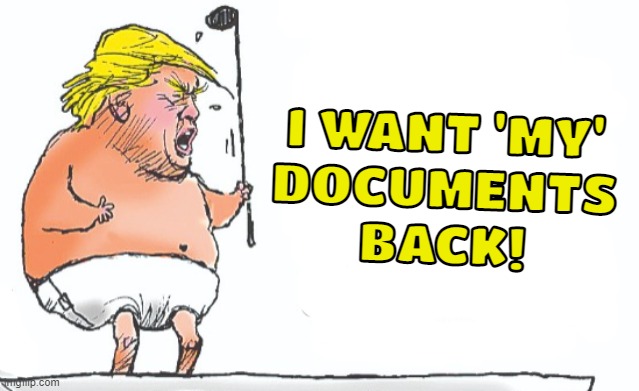 I WANT 'MY' DOCUMENTS BACK!! | I WANT 'MY'
DOCUMENTS
BACK! | image tagged in trump baby,donald trump small brain,trump - believe me,reality can be whatever i want,for christmas i want a dragon | made w/ Imgflip meme maker