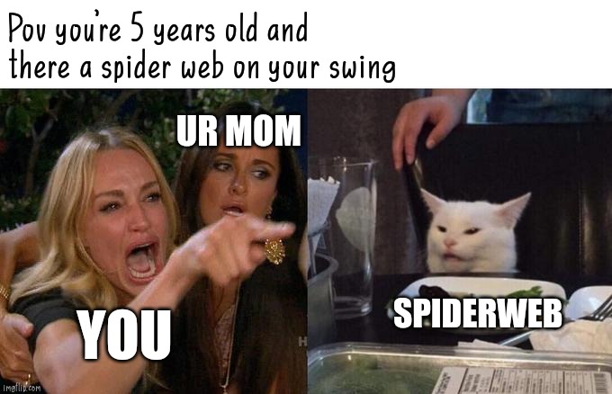 Woman Yelling At Cat | Pov you're 5 years old and there a spider web on your swing; UR MOM; SPIDERWEB; YOU | image tagged in memes,woman yelling at cat | made w/ Imgflip meme maker