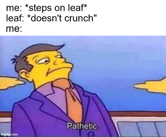 when the leaf doesn't make that crunch | me: *steps on leaf*; leaf: *doesn't crunch"; me: | image tagged in skinner pathetic | made w/ Imgflip meme maker