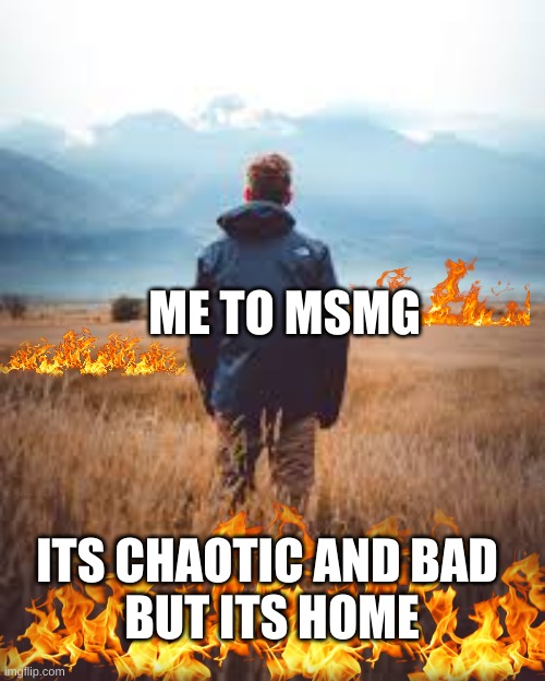 Guy standing in field | ME TO MSMG; ITS CHAOTIC AND BAD 
BUT ITS HOME | image tagged in guy standing in field | made w/ Imgflip meme maker