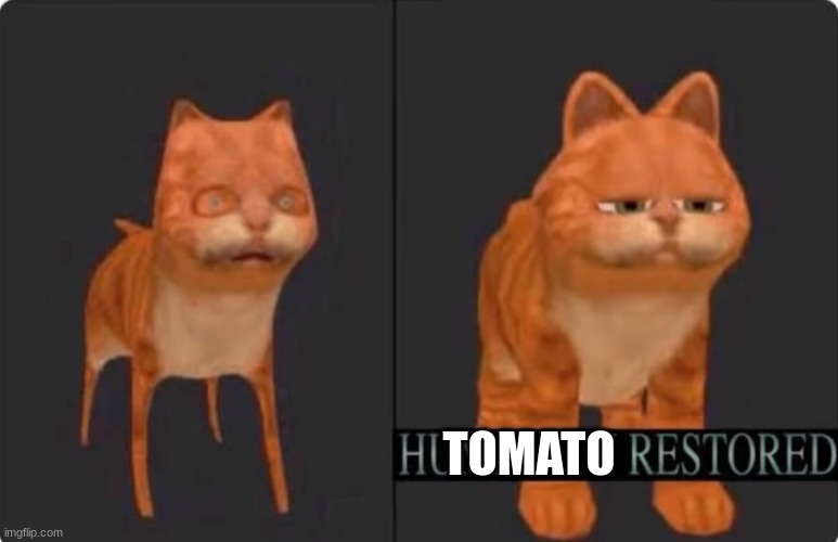back | TOMATO | image tagged in humanity restored | made w/ Imgflip meme maker