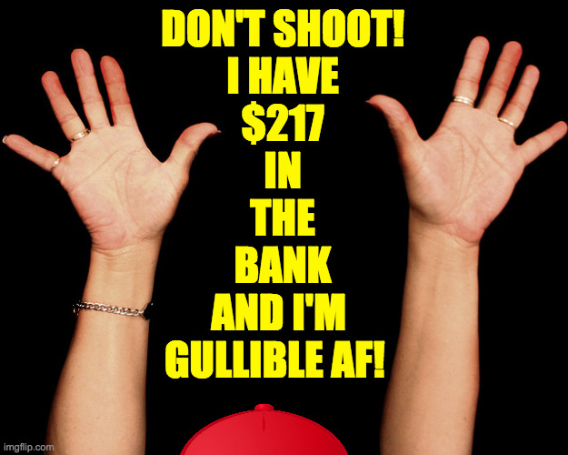 DON'T SHOOT!
I HAVE
$217
IN
THE
BANK
AND I'M 
GULLIBLE AF! | made w/ Imgflip meme maker