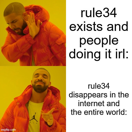 Drake Hotline Bling Meme | rule34 exists and people doing it irl: rule34 disappears in the internet and the entire world: | image tagged in memes,drake hotline bling | made w/ Imgflip meme maker