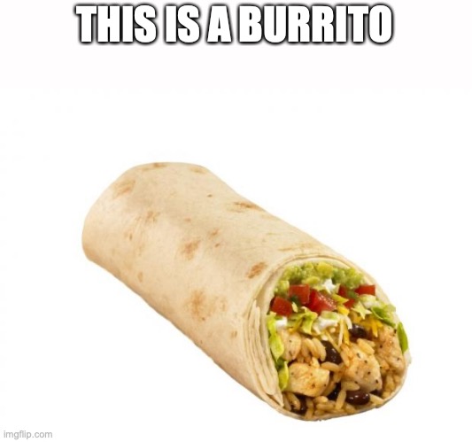 burrito | THIS IS A BURRITO | image tagged in burrito | made w/ Imgflip meme maker