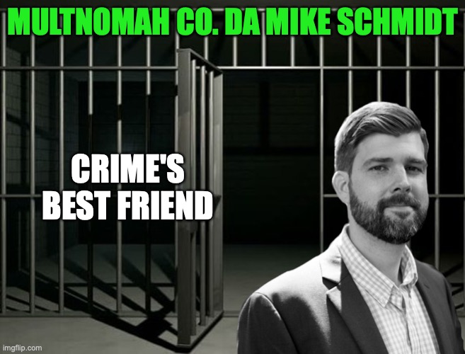 MULTNOMAH CO. DA MIKE SCHMIDT; CRIME'S
BEST FRIEND | image tagged in crime,portland | made w/ Imgflip meme maker